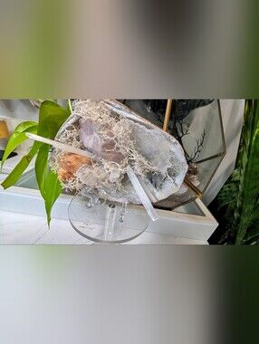 Aura Quartz, Selenite Crystal & Artificial Moss in Seashell (stand Included)